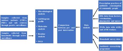 Social and biological evaluation of antimicrobial resistance (SOBEAR) in rural India: a study protocol